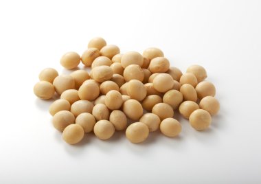 Soy bean clipart