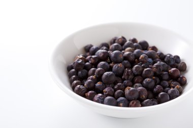 Juniper berries clipart