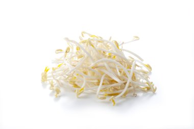 Bean Sprouts clipart