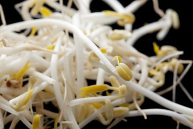 Bean Sprouts clipart