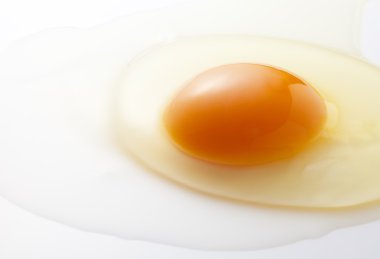 taze yumurta sarısı