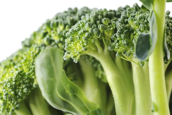 stock image Broccoli