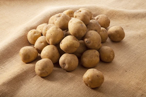 Batatas colhidas — Fotografia de Stock