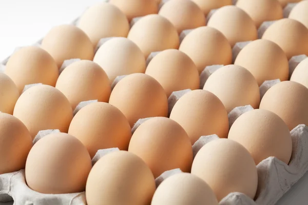 Fresh Egg — Stock Photo, Image