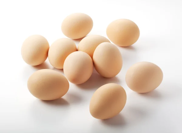 Fresh Egg — Stock Photo, Image
