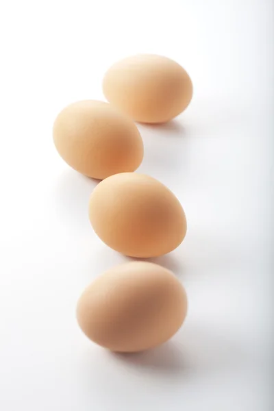 Friss tojás — Stock Fotó