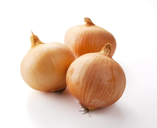 stock image Fresh onion