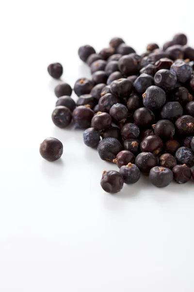 stock image Juniper berries