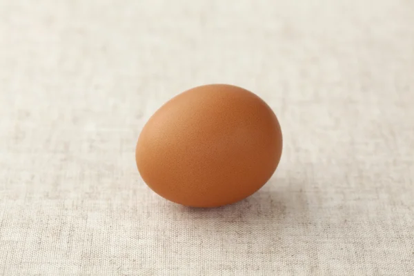 Свежее яйцо — стоковое фото