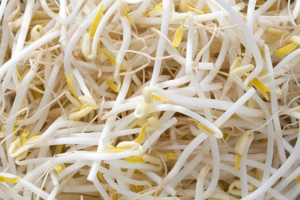 stock image Bean Sprouts