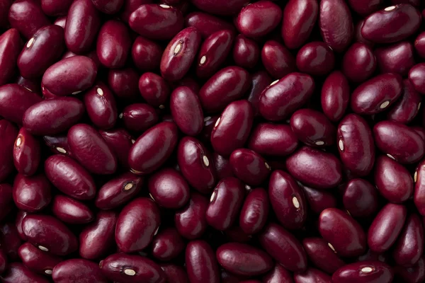 Kacang ginjal merah — Stok Foto