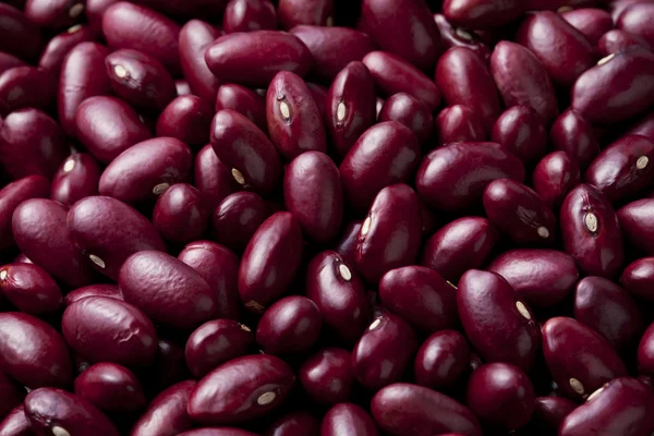 Red kidney beans — Stock Photo, Image