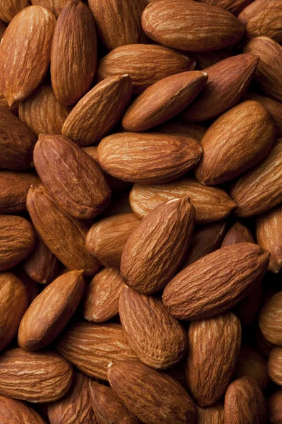 stock image Almond