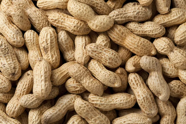 stock image Peanuts