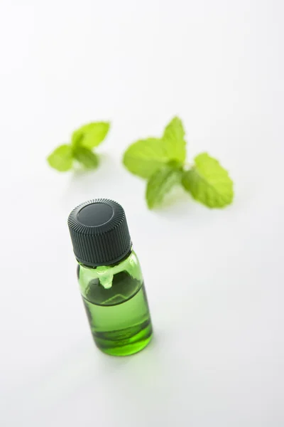 Bottle of oil and fresh mint — Stock Photo, Image