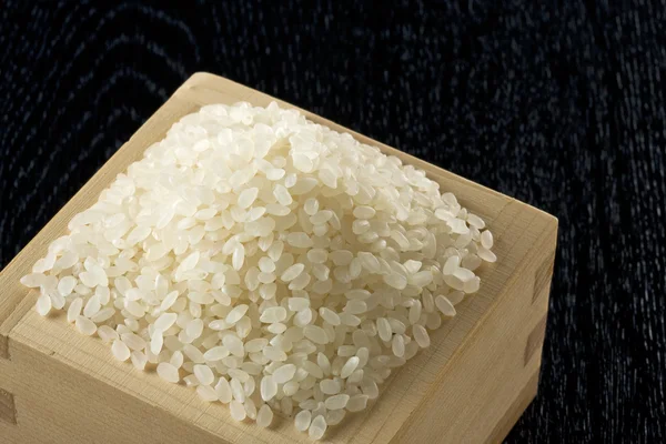 日本水稻 — 图库照片