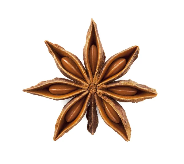 stock image Star anise