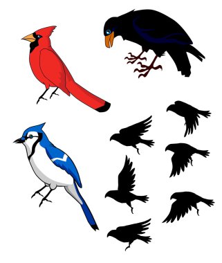 Birds Bluebird Raven Cardinal clipart