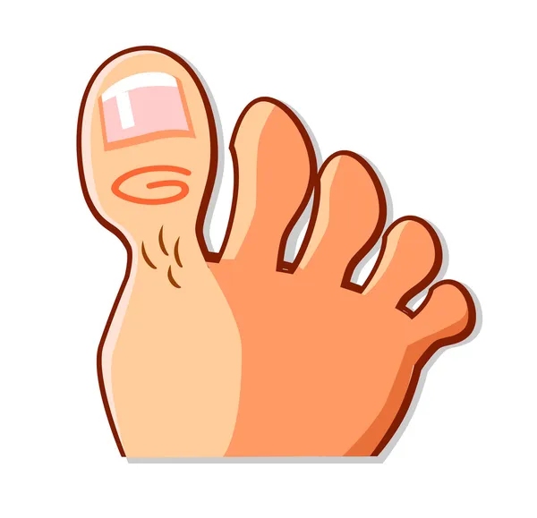 足と足の親指 — ストックベクタ