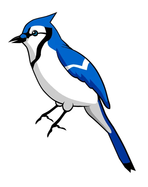 Blue Bird — Stock Vector