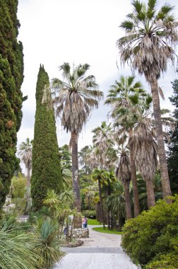 park Botanik Bahçesi