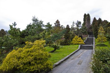 The park arboretum clipart