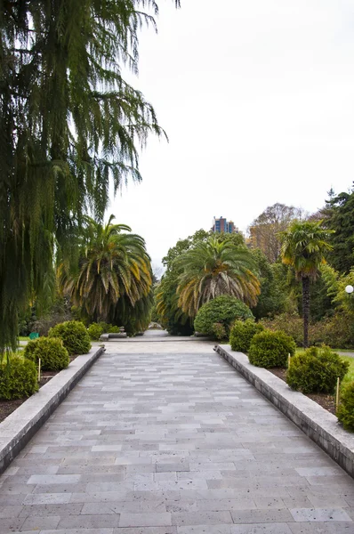 L'arboretum du parc — Photo
