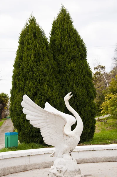 The white Swan — Stock Photo, Image