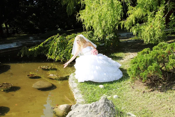 stock image Woman in wedding dress