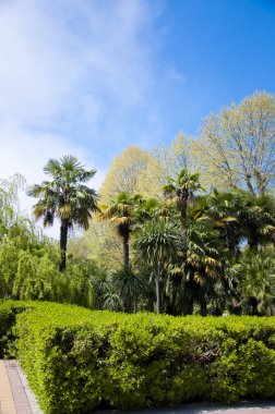 park Botanik Bahçesi