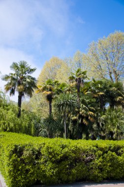 park Botanik Bahçesi