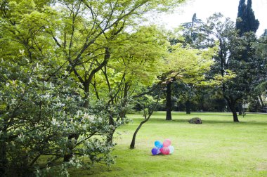 park Botanik Bahçesi