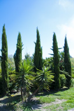 park Botanik Bahçesi