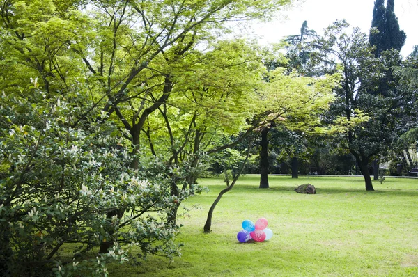 Das Arboretum des Parks — Stockfoto