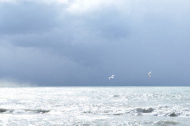 Bulutlu mistik Karadeniz