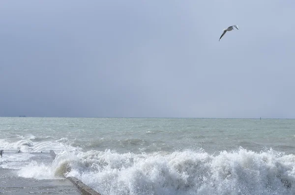 Mar Negro místico nublado — Fotografia de Stock