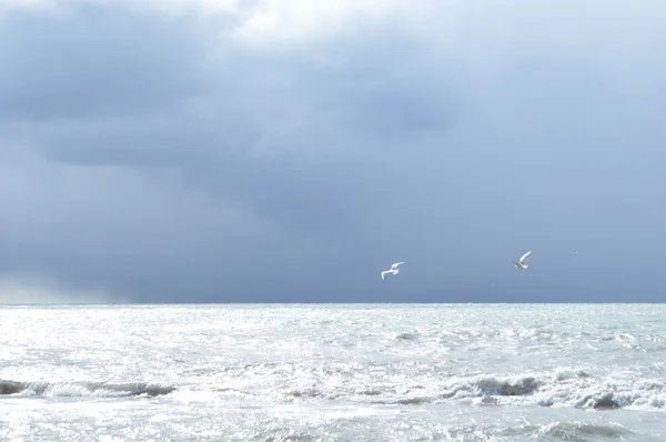 Bulutlu mistik Karadeniz — Stok fotoğraf