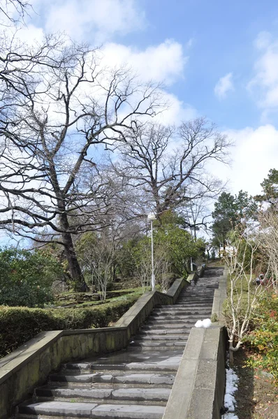 As escadas na natureza — Fotografia de Stock