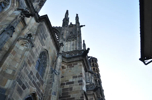 Собор в Праге — стоковое фото