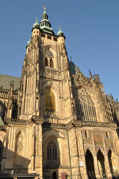 Katedralen i Prag — Stockfoto