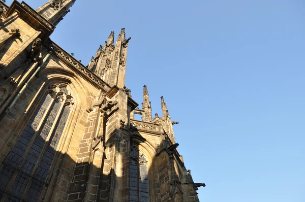 Kathedraal in Praag — Stockfoto