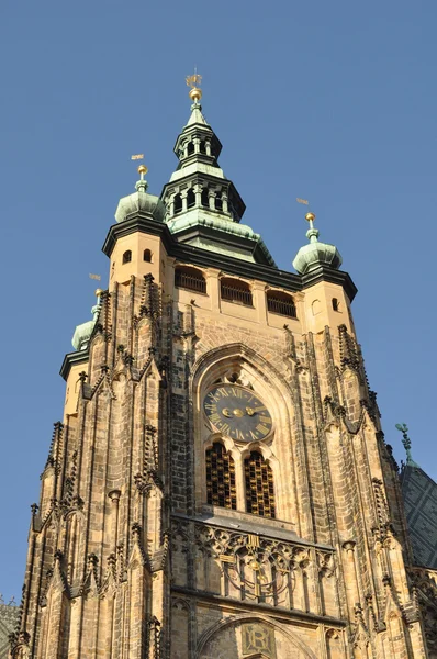 Собор в Праге — стоковое фото
