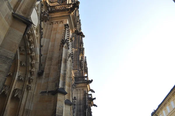 Kathedrale in Prag — Stockfoto