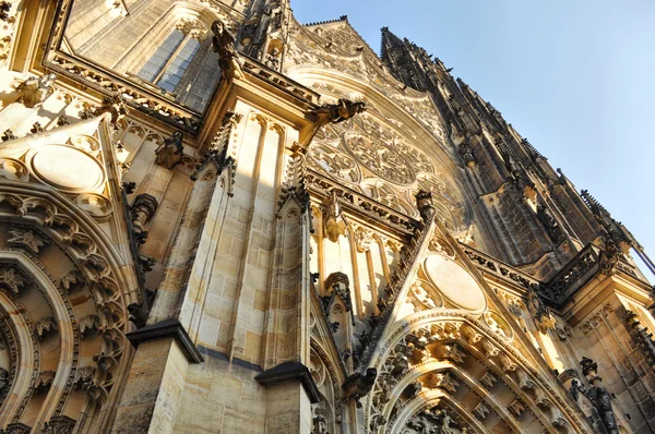 プラハの大聖堂 — ストック写真
