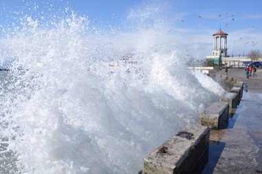 port fırtınada