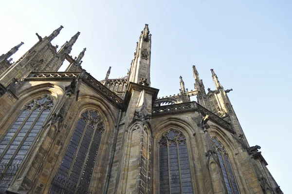 Kathedrale des Heiligen Vitus — Stockfoto