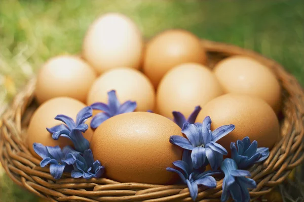 Flower decorated Easter eggs in brown natural basket — Stock Photo, Image