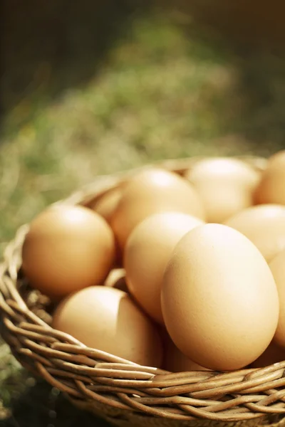 Ovos de Páscoa em cesta natural marrom — Fotografia de Stock