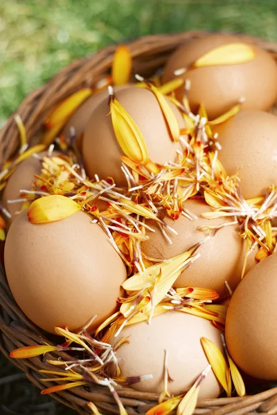 Flor decorados ovos de Páscoa em cesta natural marrom — Fotografia de Stock