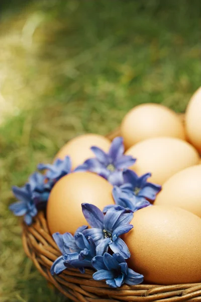 Flower decorated Easter eggs in brown natural basket — Stock Photo, Image